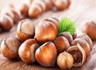 ALMANYA’DAN FINDIĞA BÜYÜK İLGİ