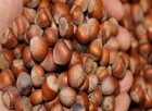 Ferrero Fındık Fiyatını Açıkladı Piyasalar Alt Üst Oldu!
