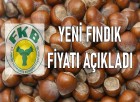 Fiskobirlik Yeni Fındık Fiyatı Açıkladı