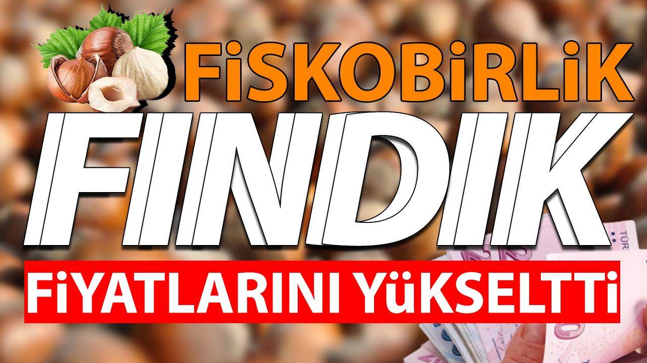 Fiskobirlik Fındık Fiyatını Yükseltti