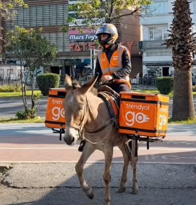 Ehliyetini Kaptıran Kurye, Siparişleri Eşekle Dağıttı 